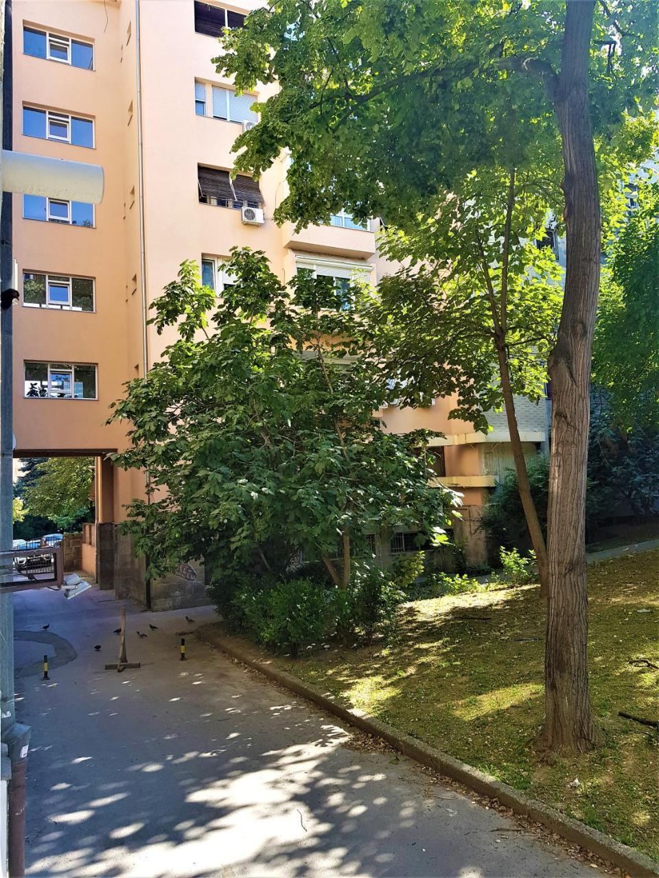 בלגרד Asya Blue Apartment מראה חיצוני תמונה